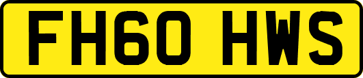 FH60HWS