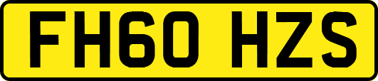 FH60HZS