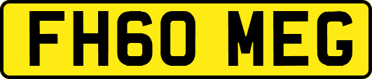 FH60MEG