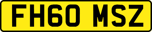 FH60MSZ