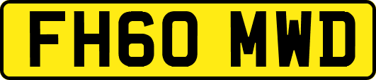 FH60MWD