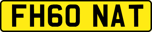 FH60NAT