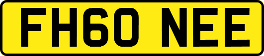 FH60NEE