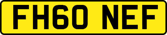 FH60NEF