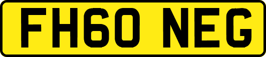 FH60NEG