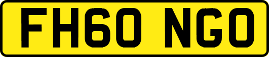 FH60NGO