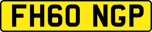 FH60NGP