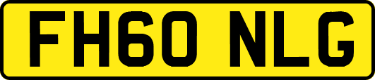 FH60NLG