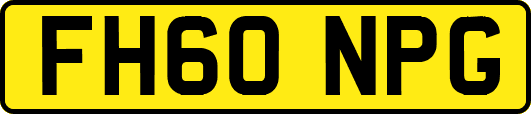 FH60NPG