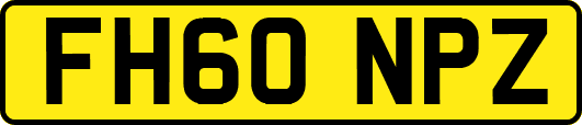 FH60NPZ