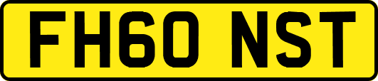 FH60NST