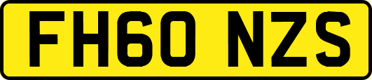 FH60NZS