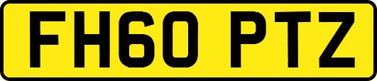 FH60PTZ