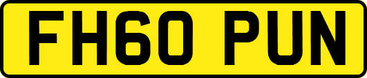 FH60PUN