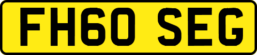 FH60SEG