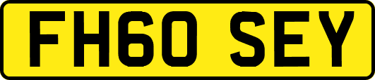 FH60SEY