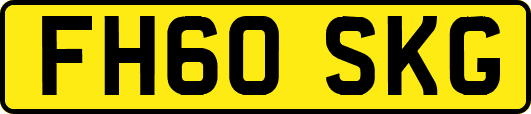FH60SKG