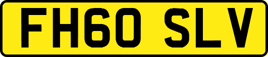 FH60SLV