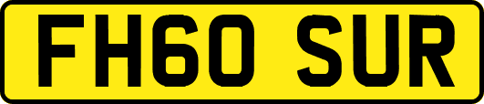 FH60SUR