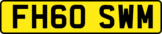 FH60SWM