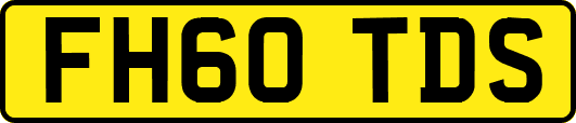 FH60TDS