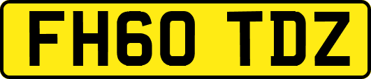 FH60TDZ