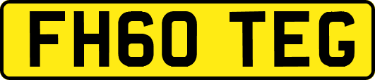 FH60TEG