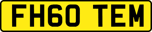 FH60TEM