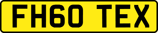 FH60TEX