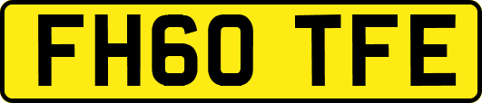 FH60TFE