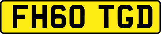 FH60TGD