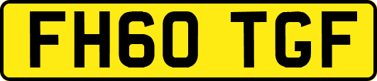 FH60TGF