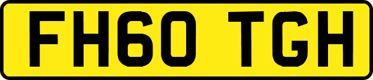 FH60TGH