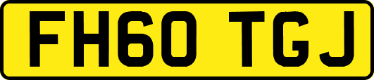 FH60TGJ