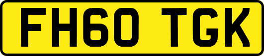 FH60TGK