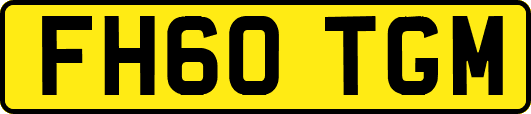 FH60TGM