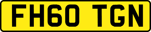 FH60TGN