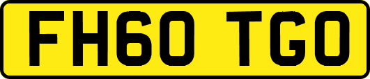 FH60TGO