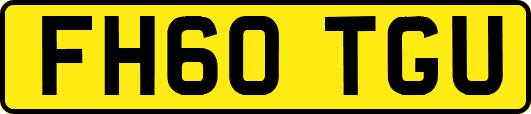 FH60TGU