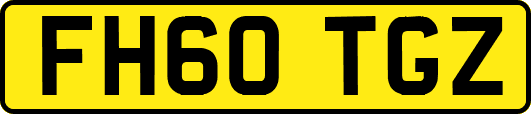 FH60TGZ