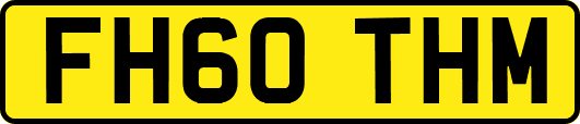 FH60THM