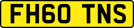 FH60TNS