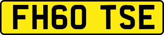FH60TSE