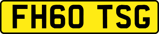 FH60TSG