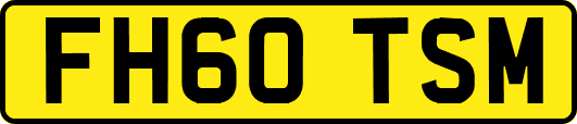 FH60TSM
