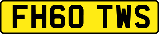 FH60TWS
