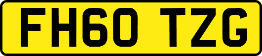 FH60TZG