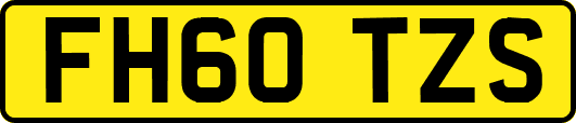 FH60TZS