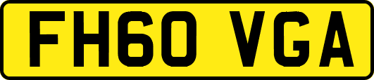 FH60VGA
