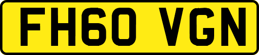FH60VGN
